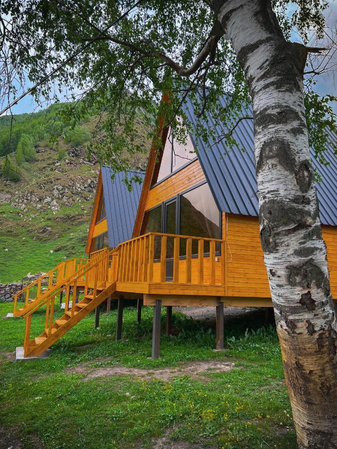 Pine Chalet Kazbegi Eksteriør billede
