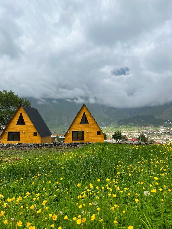 Pine Chalet Kazbegi Eksteriør billede