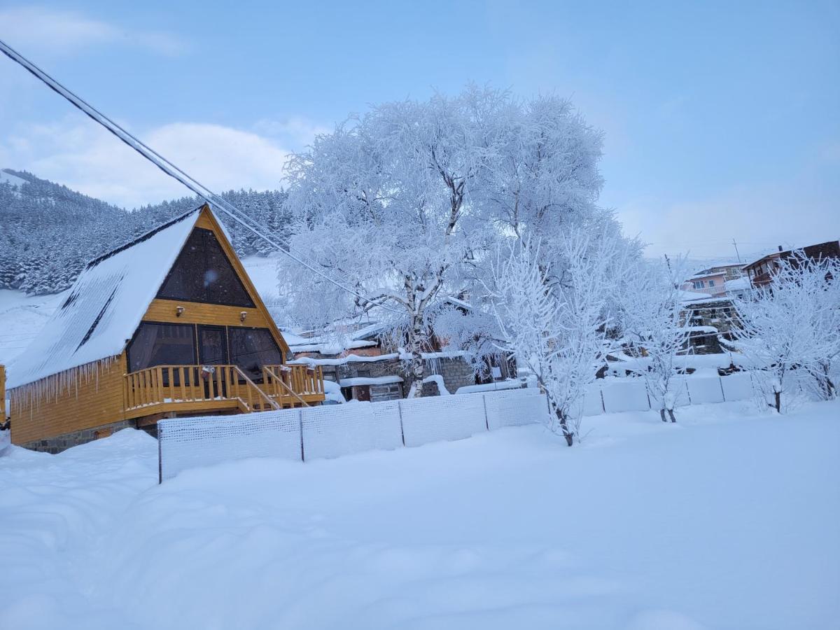 Pine Chalet Kazbegi Eksteriør billede
