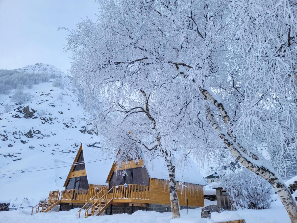 Pine Chalet Kazbegi Eksteriør billede